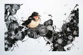 Jaco Putker